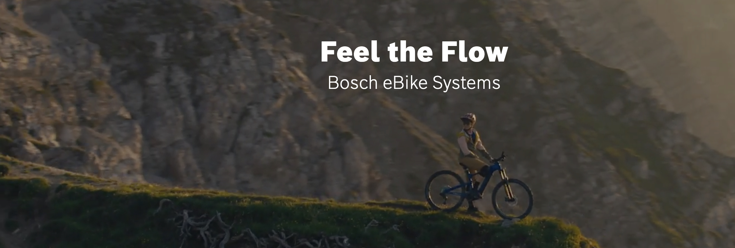 Bosch e-Bike system - Perfromance Line